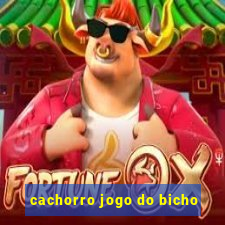 cachorro jogo do bicho